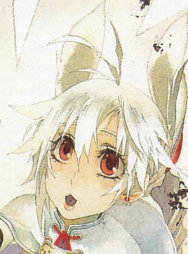 Light Novel 