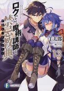 Light Novel Volume 13