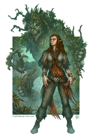 Shifter druid