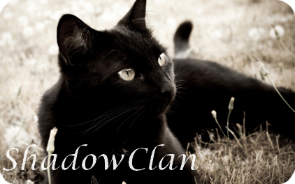 ShadowClan, Warrior Clan Cats Wiki