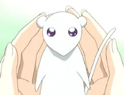 Mordisquitos, mascota de Ronin