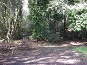 Not much left of the church. This is the town piazza.