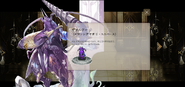 Website profile.
