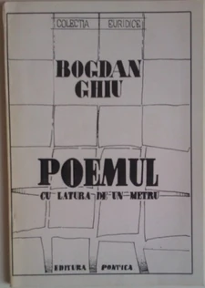 Bogdan Ghiu, The Poem With One Meter Side