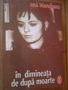 In The Morning After Death, 1996
