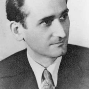 Radu stanca