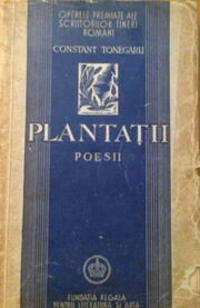 Constanttonegaru plantatii