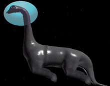 Rex