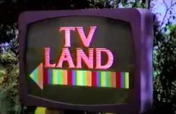 TV Land.jpg