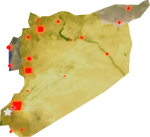 Syria Biome