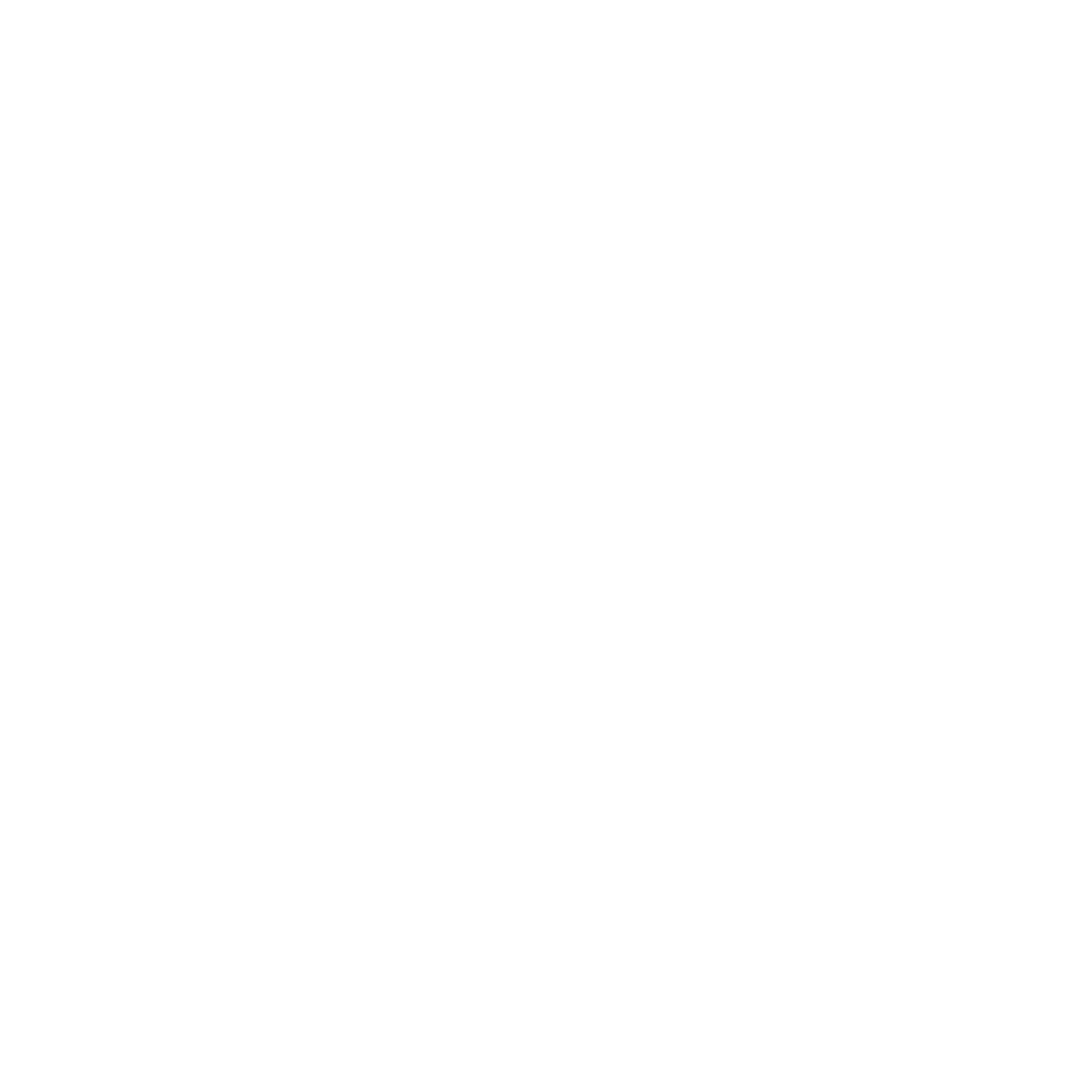 Dyn-Flagger icon