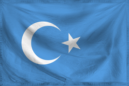EastTurkestanRipple