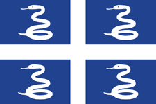Slave flag