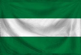 Ripple Santa Cruz Flag
