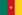 Cameroon Flag