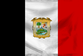 Coahuila Flag Ripple