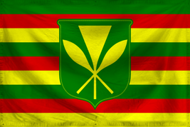 Hawaii Ripple
