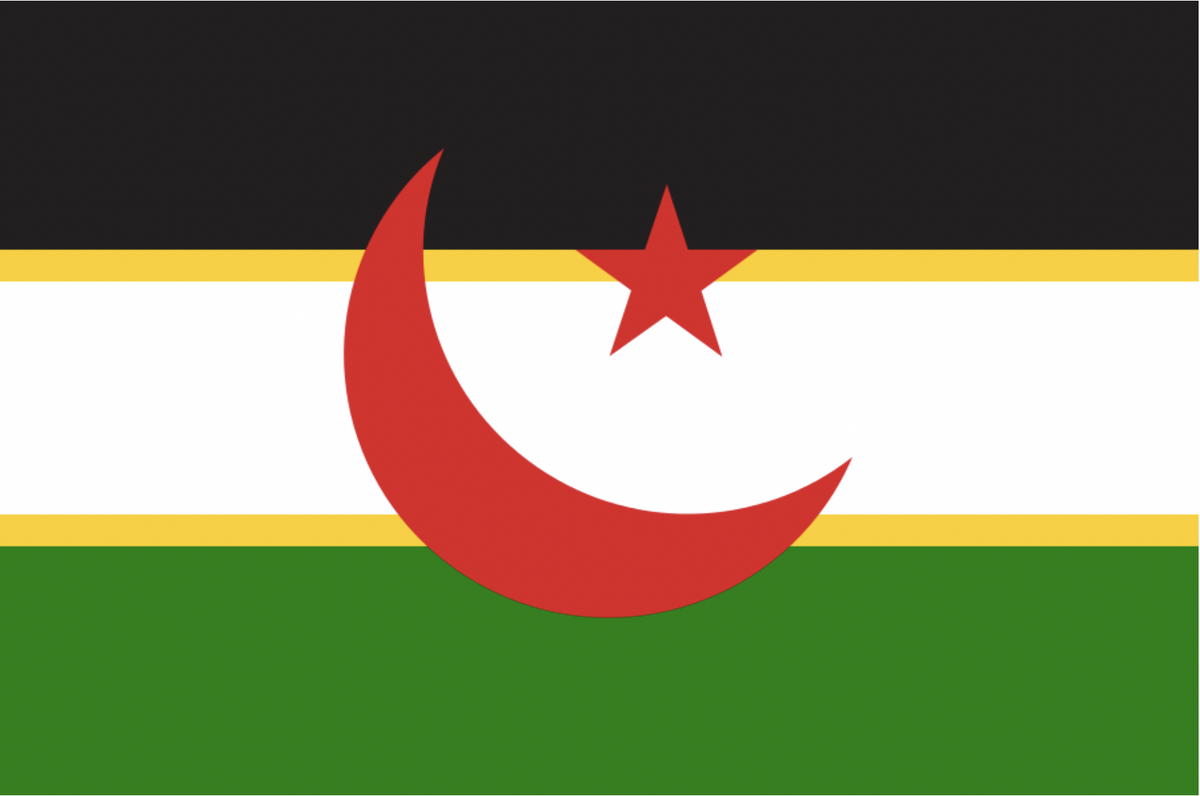 Флаг мавритании монако. Флаг Сахарской арабской Демократической Республики. Флаг Садр. Флаг Западной Сахары. Западная сахара государство флаг.