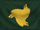 Gallic Empire