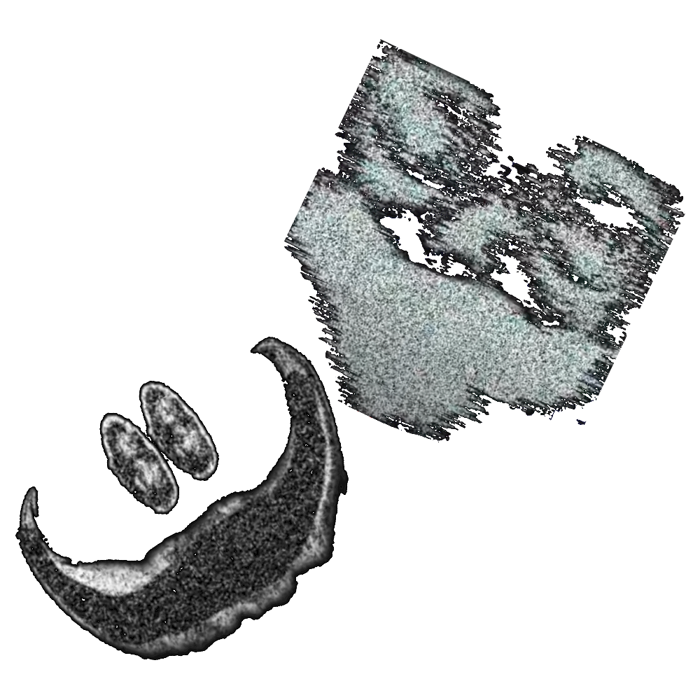 A255 Rooms but Doors Wiki Fandom