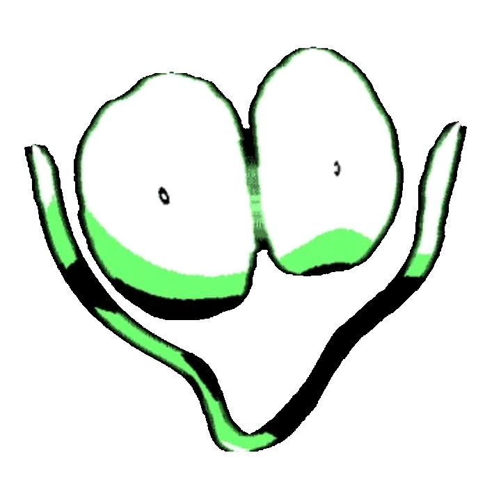 A 35 rooms extended wiki fandom