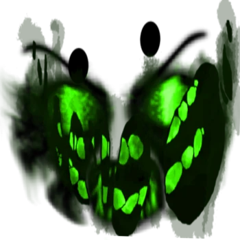 C-60 (The Orbital Multi-Monster/Multimonster Prime) | ROOMS: Low ...