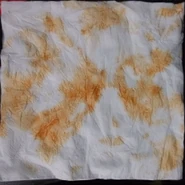 Monty's inspiration for the world