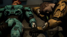 Yorkandcarolina1.png