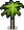 Coconut Tree