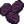 Wild Raisins