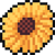 Wild Sunflower
