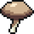 Brown Mushroom