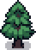 Pine Tree