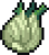 Fennel