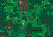 Lost Woods.jpg
