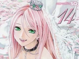 Rosario + Vampire II Volume 14