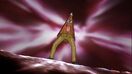 Rosario youkai 0017.jpg