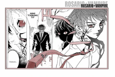 Wiki Rosario Vampire