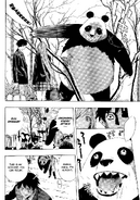 Summoned Panda