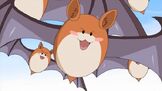 Show.php1213213.jpg