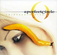 A Perfect Circle-Thirteenth Step