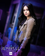 Liz season 2 poster