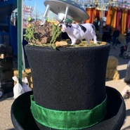 2.12 Graham's hat
