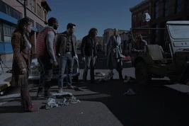 Two Sparrows in a Hurricane