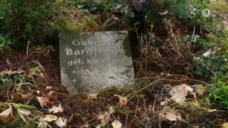 Folge 2658-2