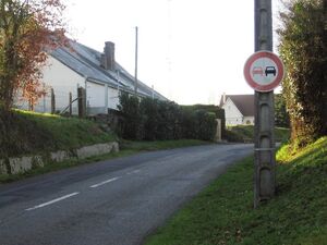 B3