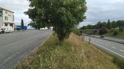 N10 Charente Anais