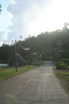 RT1 (986) - Futuna