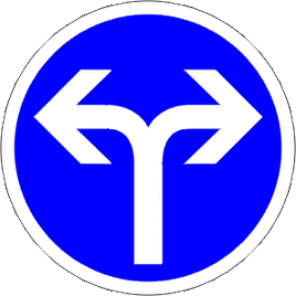 B21e