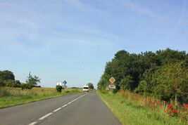 D1 (86) (3)